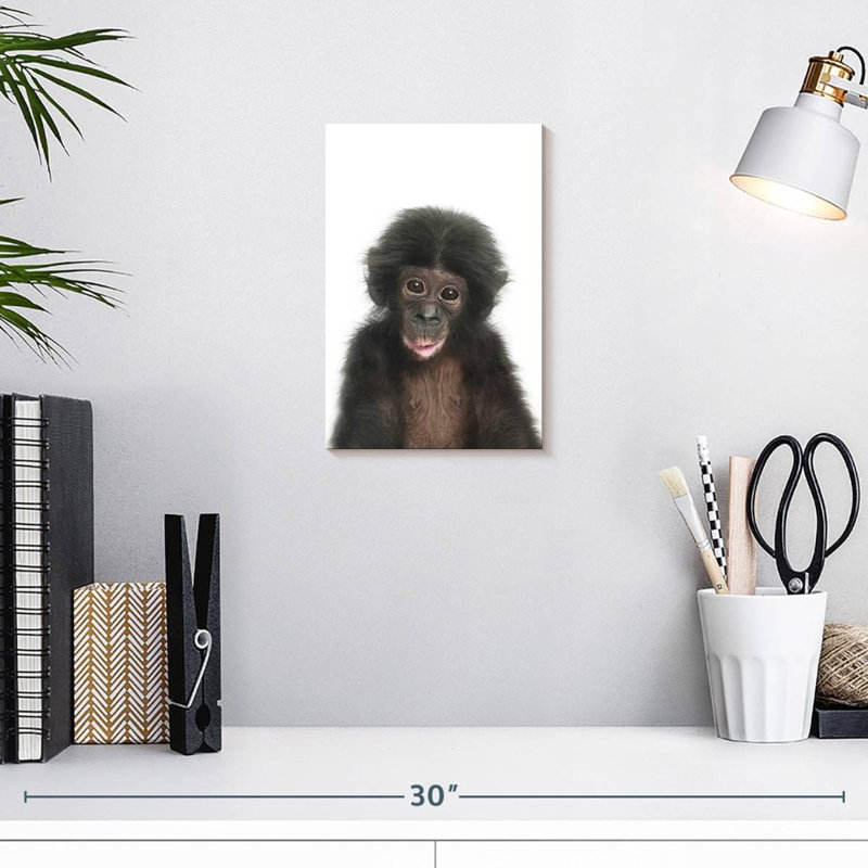 Bébé singe Brampt, H 12 po x l 8 po