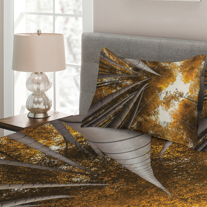 Polyester Coverlet