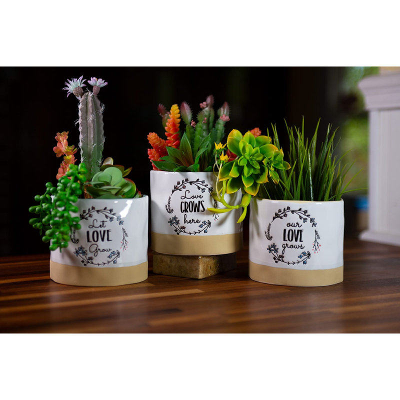 LOVE GROW ICI PLATEAUX 5 po, 3 ASST