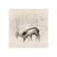 Misty Woods I Print by Guseul Park-26945759-26945765