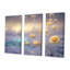 Ensemble d'art mural Middleborough - Roses-108456181-108456179