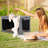 Danney Collapsible Pet Soft-Sided Crate with 3 Doors