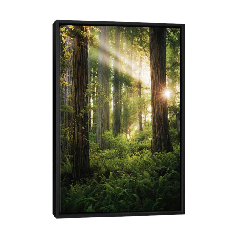 « goblins », reproduction de photo sur toile, H 26 po x l 18 po x P 1,5 po, Toile avec cadre flottant noir, Pas de tapis