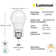 Equivalent E26/Medium (Standard) Dimmable 3000K LED Bulb