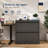 Bizoe 2-Drawer Metal Lateral File Cabinet with Lock, Full Extension Drawers with Hanging Rods for Letter Legal F4 and A4-1063024671