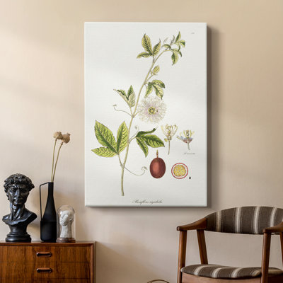 Passion Flower Trio II - galerie sur mesure Cavas
