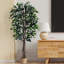 Faux ficus