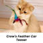 Grattoir pour chat 12,99 po