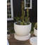 Scout Archer Planter-402529596