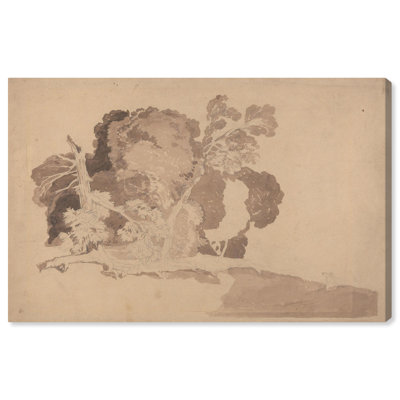 Study of Trees Canvas Vintage Illustration by Art Remedy