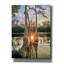 «Cypress Swamp Sunset Red Sun Reflection Lily Pads» par Ezra Tanner, art mural sur toile-957716249