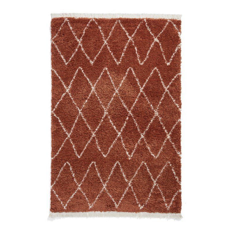 Archuleta area rug Machine Woven Rust, Runner 60 x 230cm