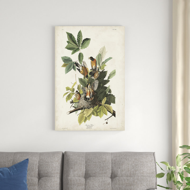 Pl 131 American Robin by James Audubon - Wrapped Canvas Painting, 36" H x 24" W