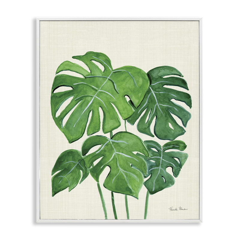 «Green Monstera» par Farida Zaman bg-021, Estampe numérique encadrée blanc bord de mer, H 20 po x l 16 po