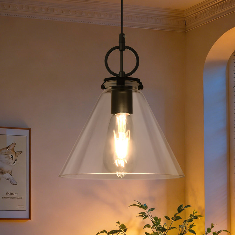 1-Light Pendant Light with Clear Glass Black Base, Matte Black