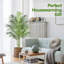 152cm Palm Plant