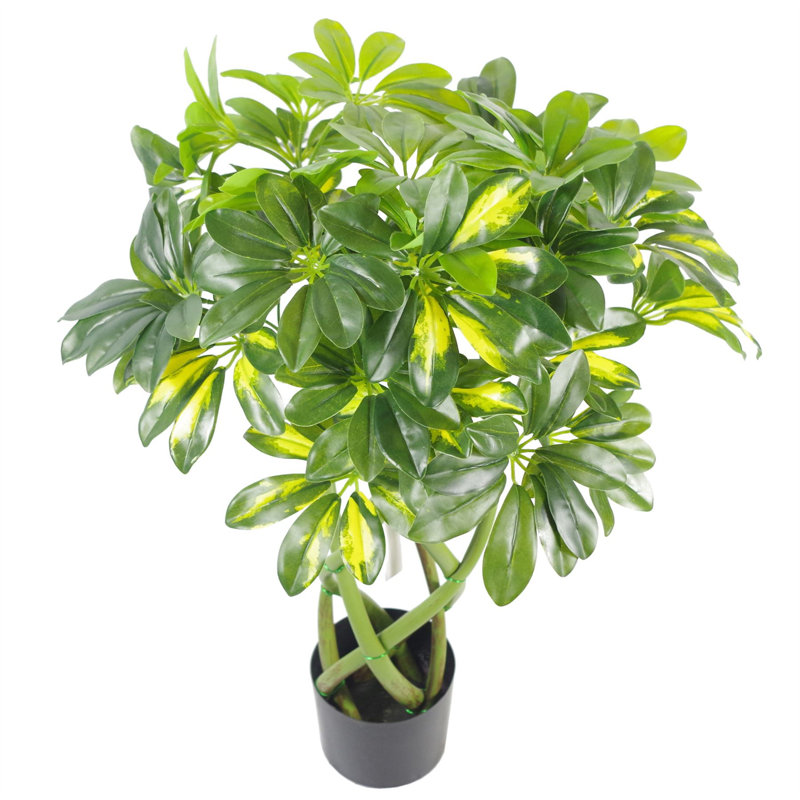 70cm Faux Bonsai Tree in Pot Liner