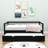 Edricka Twin Size Wooden Daybed with Trundle-567342274