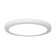 1 - Light White LED Simple Pendant