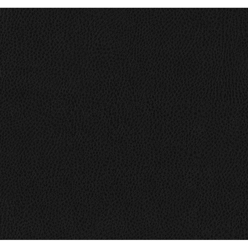 Lorena Upholstered Headboard, Black, Twin