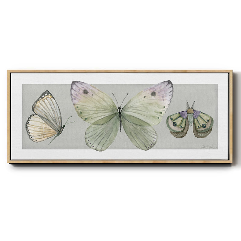 Pretty Insects II- Framed Canvas
