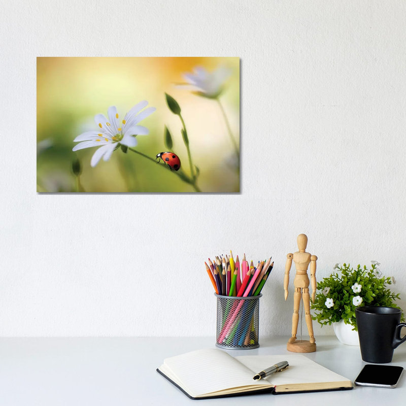 Summer Beauties by Mandy Disher - Wrapped Canvas Print, 20.32 cm H x 30.48 cm W