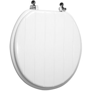 https://assets.wfcdn.com/im/58790085/resize-h300-w300%5Ecompr-r85/2328/2328971/Round+Toilet+Seat+and+Lid.jpg