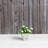 Alaunah Pot Planter-840690736-840690747