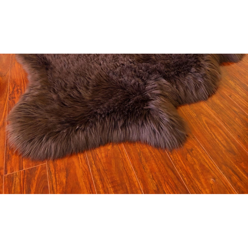 Whelchel Performance Sheepskin Indoor Rug, Novelty 3'6" x 5'7"
