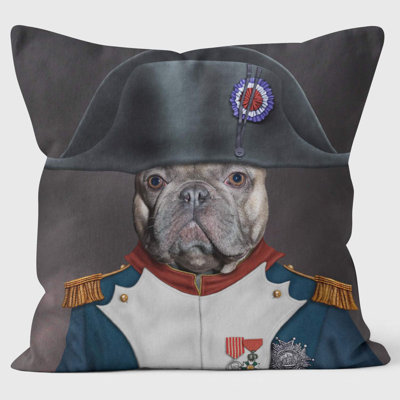 Napoleon - Pets Rock Cushion