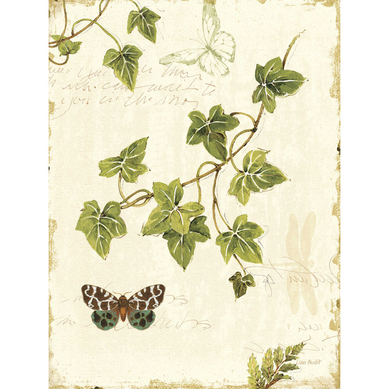 «Ivies and Ferns II» par Lisa Audit - impression sur toile tendue, H 16 po x l 12 po