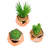 Faux Succulent in Metal Decorative Vase