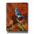 " Fall Colors " by William Vanderdasson-1649625991