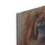 «The Daydreamer Orangutan» par Robert Campbell, art mural en métal-1528939129