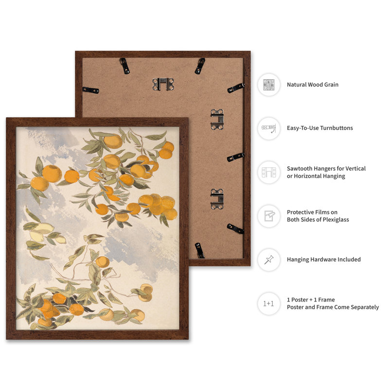 Oranges et citrons, Affiche, Encadrement brun, H 11 po x l 14 po