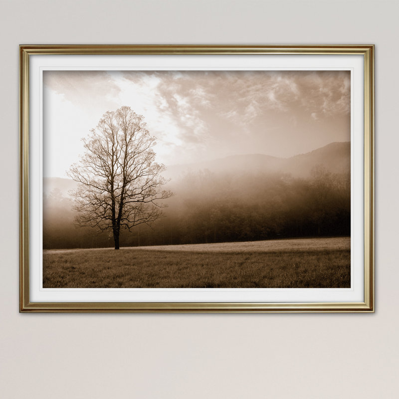 Meadow Solace - reproduction de cadre photo, Or, H 20 po x l 24 po x P 1,5 po