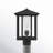 Vermont Seeded Lantern Head-2009801567