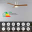 Ventilateur de plafond à moteur à courant continu 52 po  avec lumières DEL et télécommande-1575579153