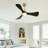 Boun 42'' Ceiling Fan with LED Lights-1421496078-1421496079