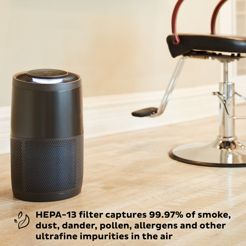 Charcoal Black Floor-Standing Air Purifier with HEPA Filter