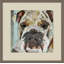 " Dog Collage II " by Anderson 4 - Pieces