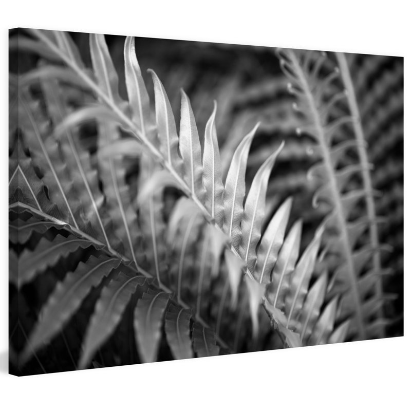 1 Piece Wrapped Canvas Wall Art, 61cm H x 91cm W x 3.81cm D