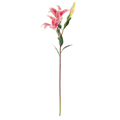 37-Inch Lily Stem