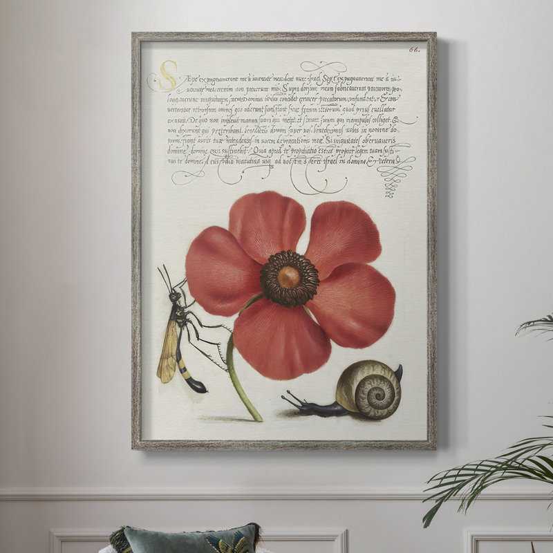 Reproduction encadrée Hoefnagel Tropical, H 11 po x l 9 po