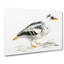 Portrait Of A Duck by Johan Teyler - Wrapped Canvas Print-55322397
