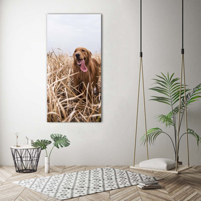 Golden Retriever - Wrapped Canvas Print