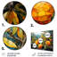 «Golden Mango Mosaic I» - fruits, art mural en métal-1988610205