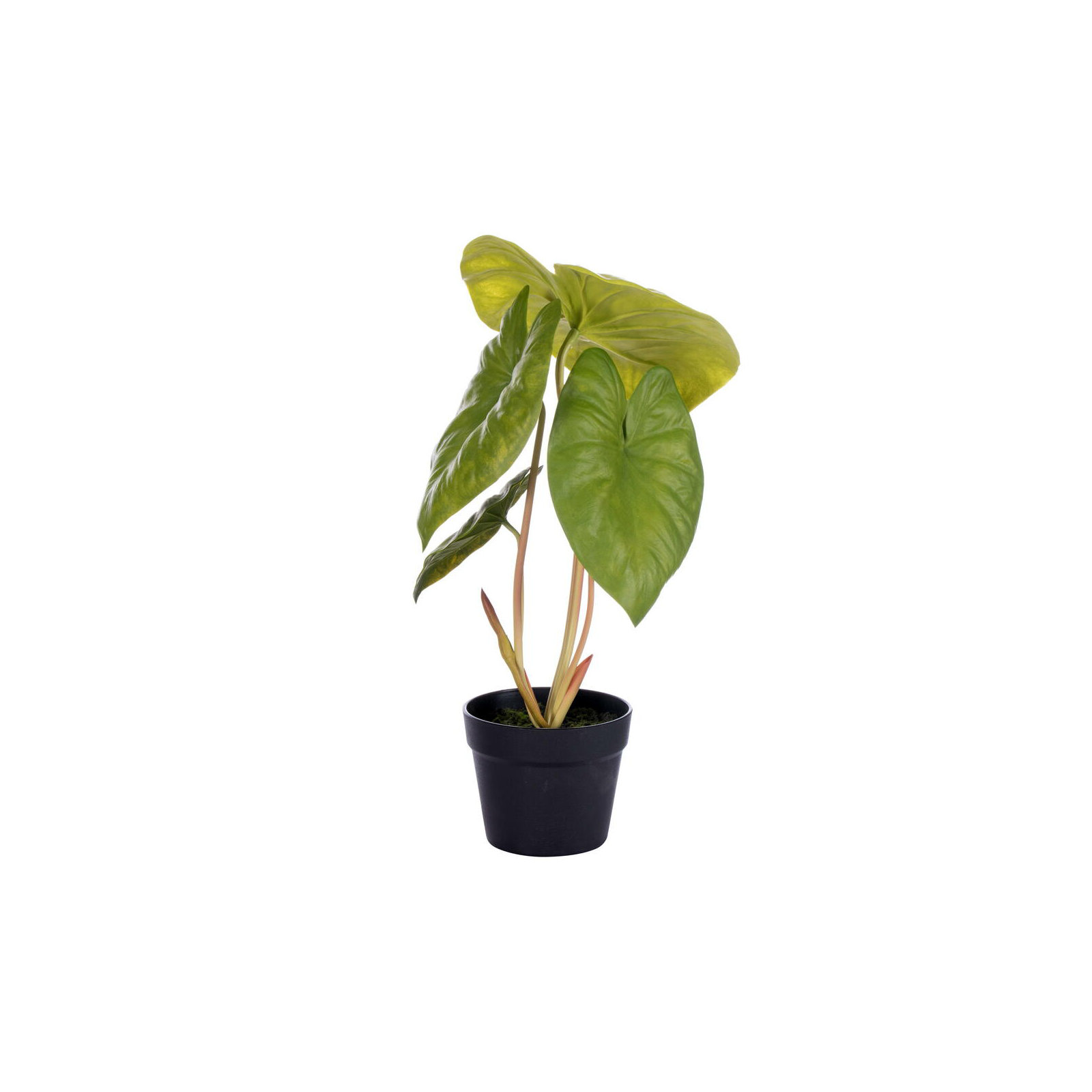 18.5'' Faux Alocasia Plant in Pot