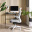 Adelbrand Office Chair