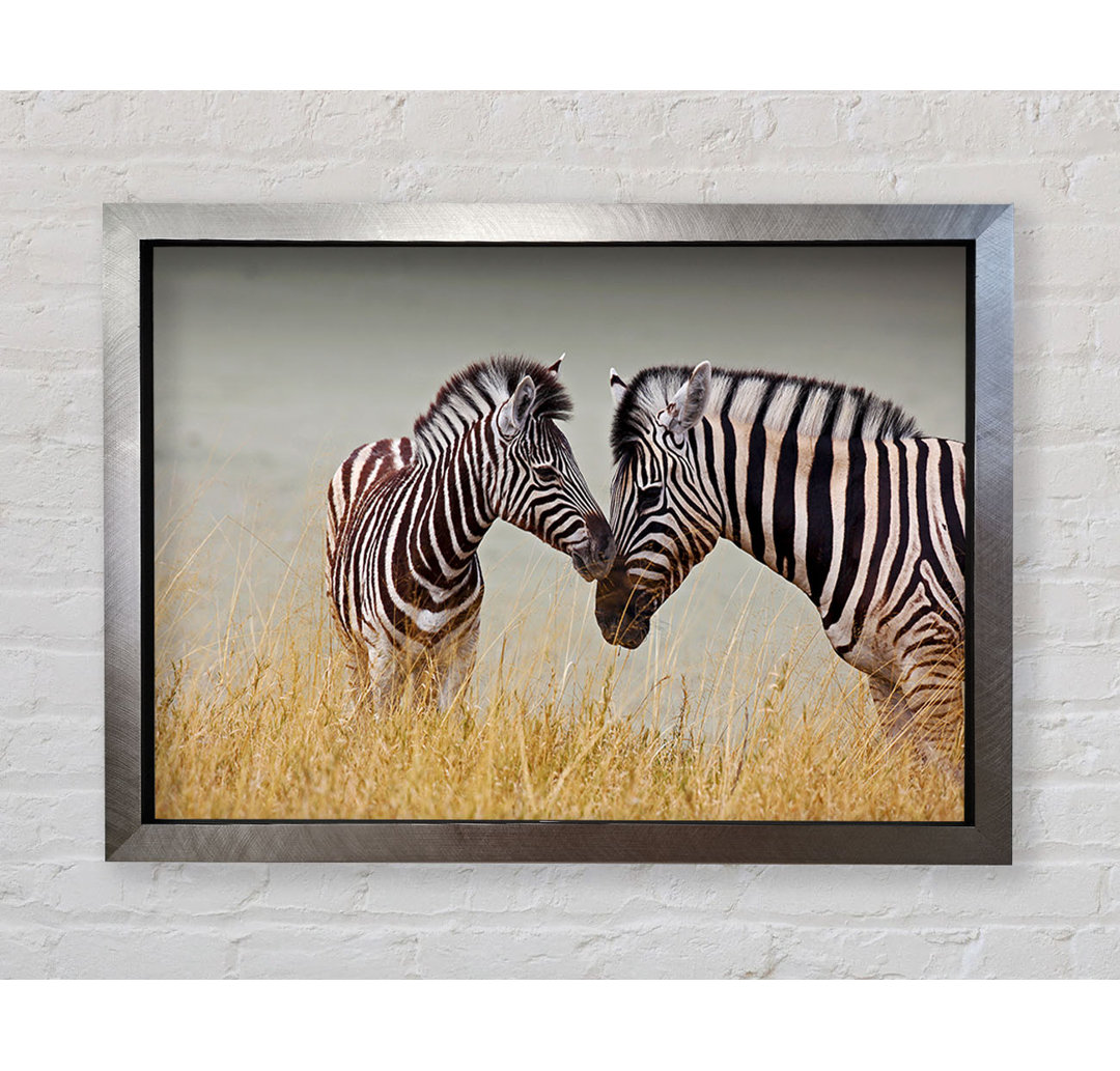 Mutter und Baby Zebra - Druck